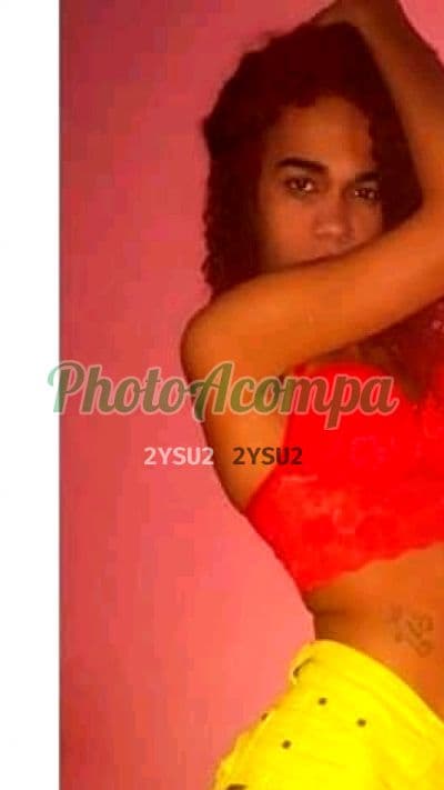 ÚLTIMOS DIAS NATY PAUZUDAA — travesti em Hortolândia