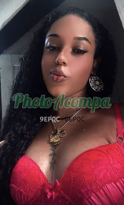 Veneno — travesti em Salvador