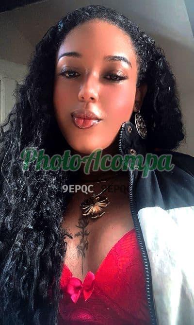 Veneno — travesti em Salvador