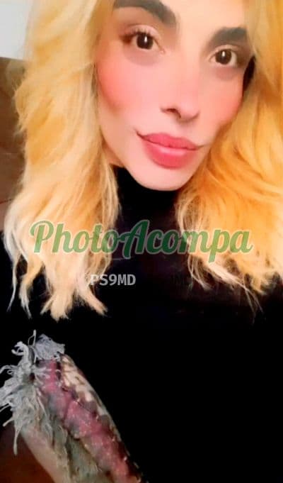 Allana Bionda — travesti em Itapevi