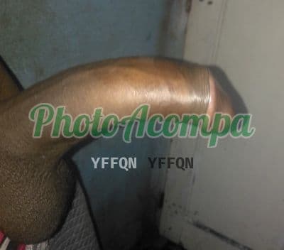 Noa — acompanhante masculino em São Vicente