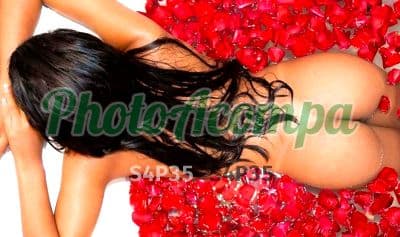 Acompanhante em Rio de Janeiro com beijo grego (2) — Andressa