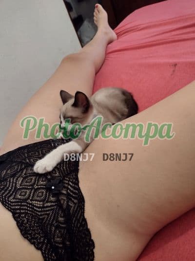 Acompanhante de seios naturais em Peruíbe, foto 4 de Branquinha