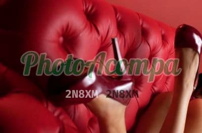Acompanhante em Chapecó com experiência de namorada (4) — Carol