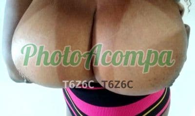 Foto 6: Acompanhante em Lauro de Freitas — sexo anal, Dandara