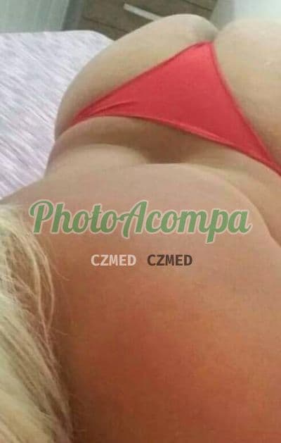 Acompanhante peituda em São José dos Pinhais — Gabriela, foto 3