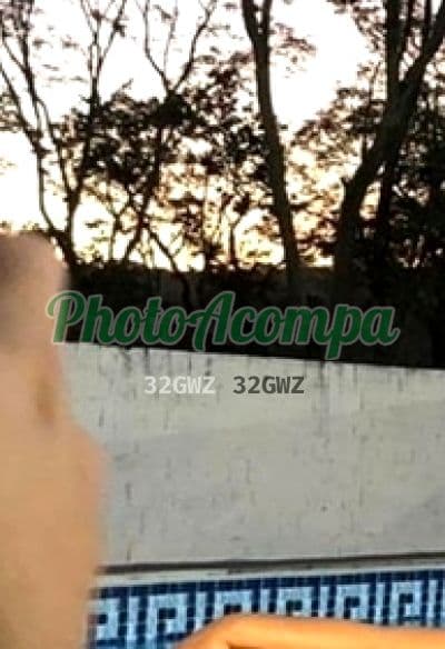Acompanhante em Palhoça — namoradinha, foto 4 de Gabriella