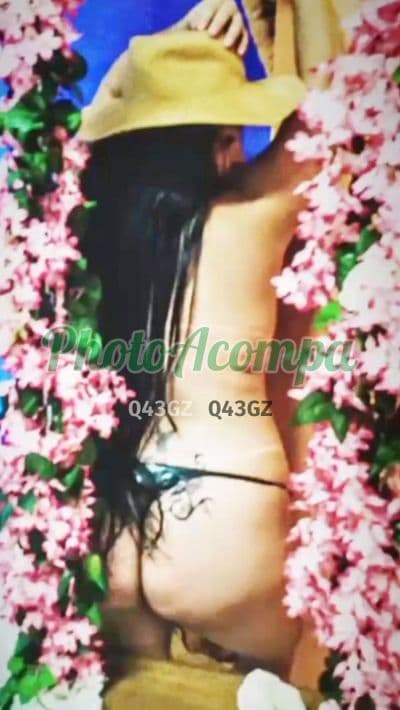 Acompanhante gordinha em Praia Grande (3) — Jack
