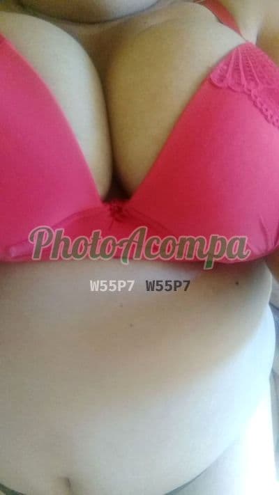 Acompanhante em Ponta Grossa — experiência de namorada, foto 4 de Kelly