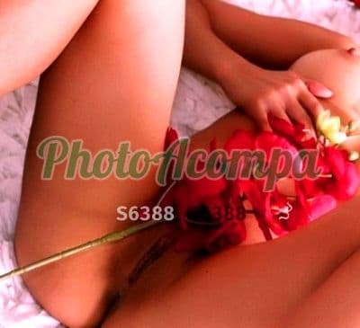 Foto 3: Acompanhante magra em São Paulo — Luana