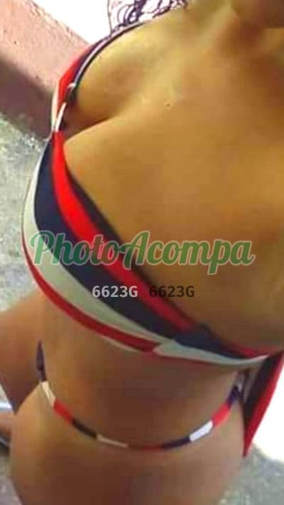 Acompanhante em São Sebastião — experiência de namorada, foto 4 de Renatinha