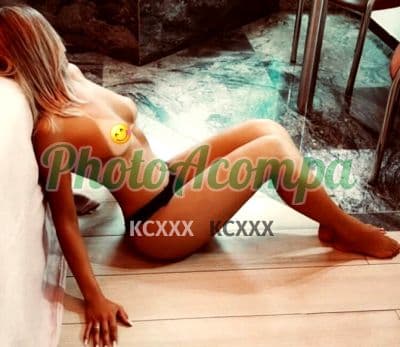 Acompanhante peituda em Santos (3) — Sophia