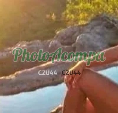 Acompanhante morena em Rio de Janeiro (5) — Tainá