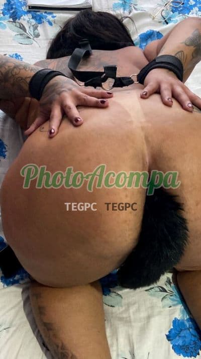 Foto 6: Acompanhante em Rio de Janeiro — sexo anal, Talita