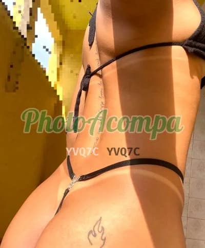 Acompanhante em São José do Rio Preto com anal (6) — Tamires