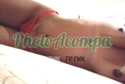 Acompanhante em Porto Ferreira com sexo anal (4) — Thaís