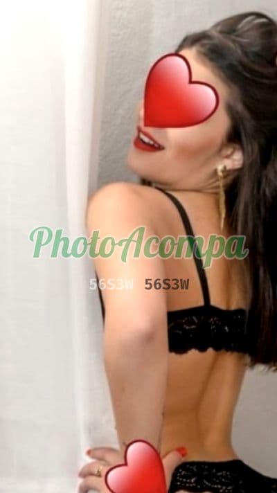 Acompanhante em Aracaju com anal (4) — Thalita