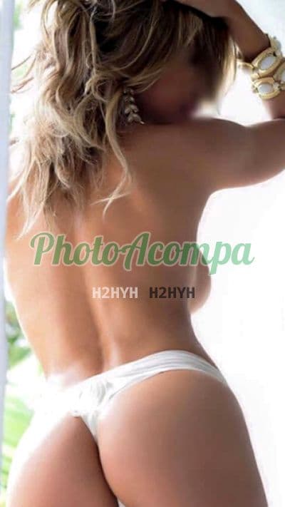 Foto 2: Acompanhante em Joinville — sexo anal, Vanessa