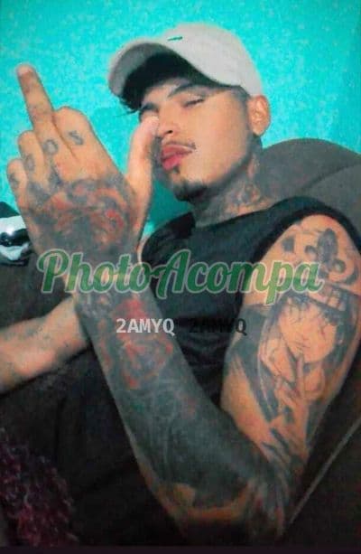 Acompanhante masculino em Anápolis com beijo grego (4) — Adão