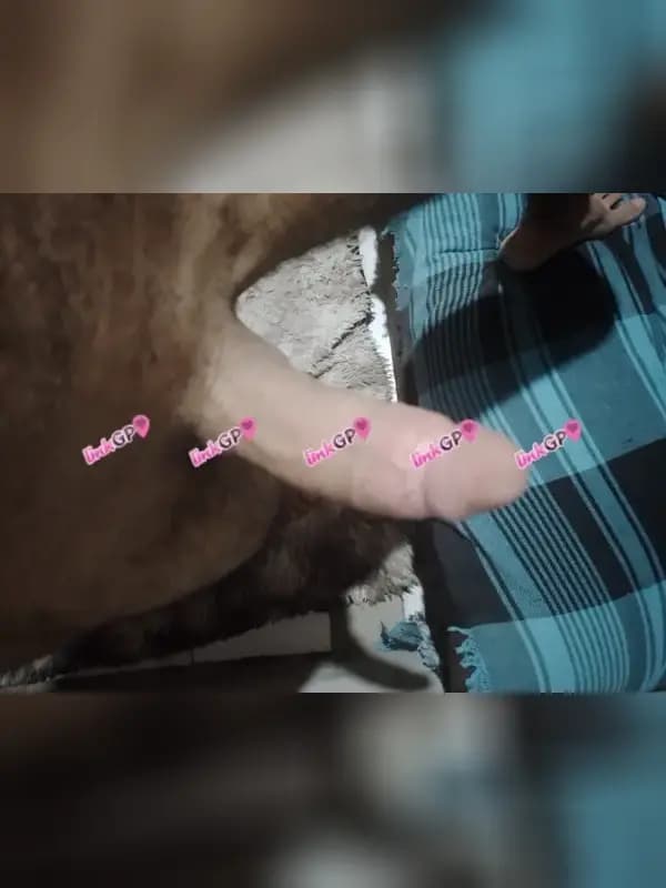 Foto 2: Acompanhante masculino em João Pessoa — atende casal, Carlos