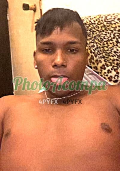 Acompanhante masculino foto sem retoque em Francisco Morato — Felipe, foto 5