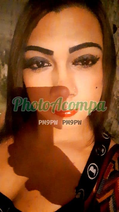 Travesti acompanhante foto verificada em ABC Paulista, foto 3 de Agatha