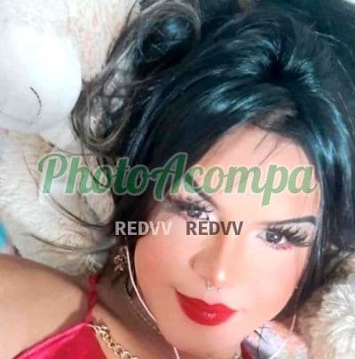 Travesti acompanhante imagem autêntica em ABC Paulista — Alice, foto 4