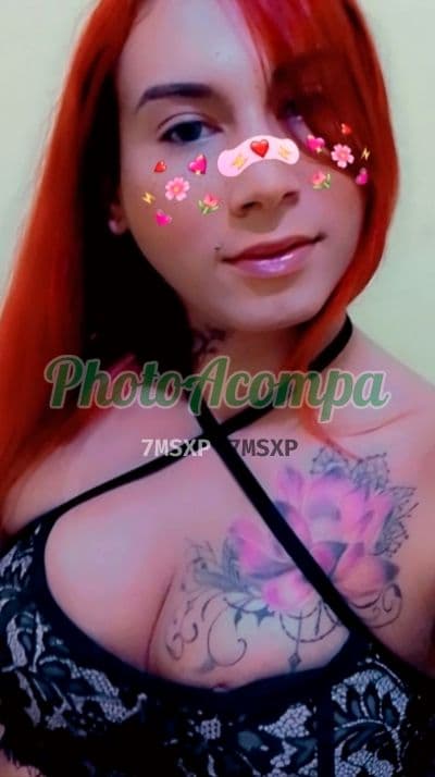 Travesti acompanhante foto sem retoque em São Vicente, foto 5 de Ariel