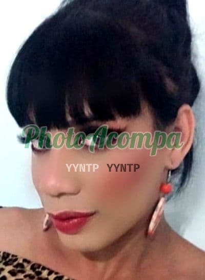 Foto 2: Travesti acompanhante em ABC Paulista — beijo grego, Bárbara
