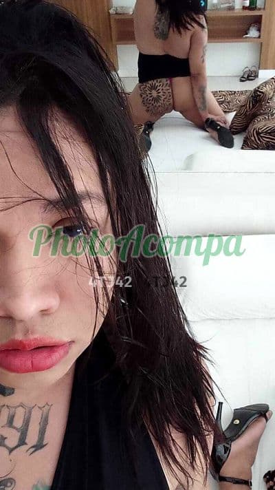Travesti acompanhante foto verificada em São José — Carminha, foto 3