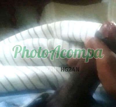 Travesti acompanhante imagem autêntica em ABC Paulista, foto 4 de Diana