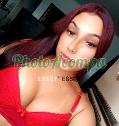 Travesti acompanhante em Itaquaquecetuba — beijo grego, foto 2 de Evellyn