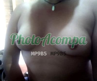 Travesti acompanhante foto verificada em Campos dos Goytacazes (3) — Fofinha