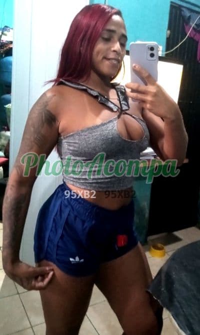 Travesti acompanhante foto sem retoque em Barueri — Gaby, foto 5