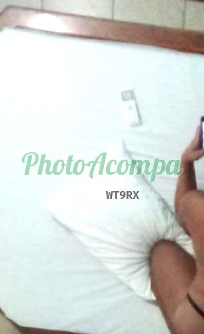 Travesti acompanhante foto verificada em Florianópolis (3) — Jana