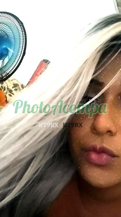 Travesti acompanhante em Florianópolis com beijo grego (6) — Jana