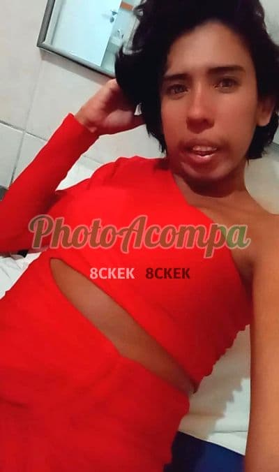 Foto 6: Travesti acompanhante em Manaus — beijo grego, Lorena