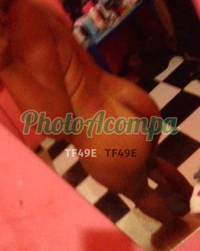 Travesti acompanhante em Planaltina com beijo grego (4) — Michelly