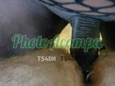Travesti acompanhante foto sem retoque em Magé — Pollyanna, foto 5