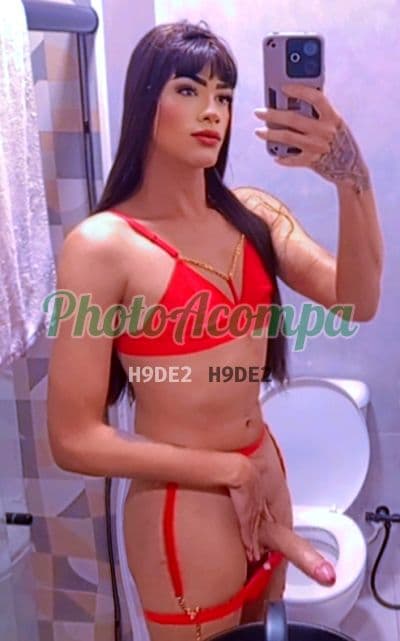 Travesti acompanhante em Niterói com beijo grego (2) — Sheilla