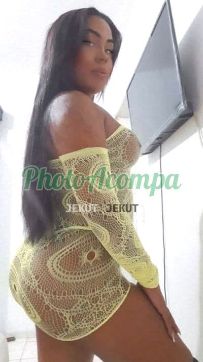 Travesti acompanhante foto verificada em São Gonçalo, foto 3 de Sophia