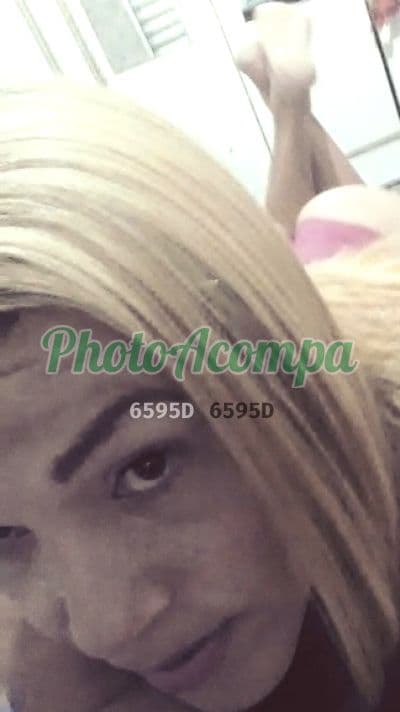 Travesti acompanhante em Franco da Rocha — oral sem camisinha, foto 4 de Tayla