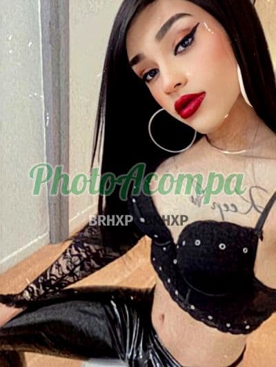 Travesti acompanhante foto real em Florianópolis (2) — Thalia