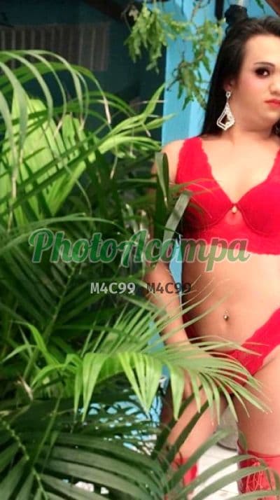 Travesti acompanhante em ABC Paulista — garganta profunda, foto 4 de Vanessa