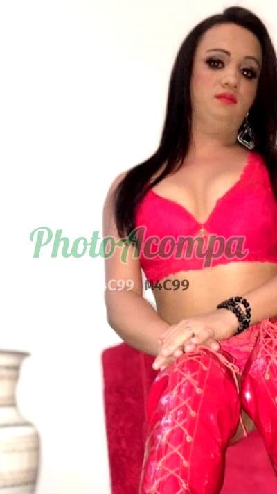 Travesti acompanhante em ABC Paulista — beijo grego, foto 6 de Vanessa