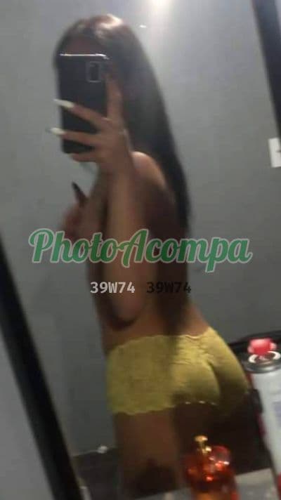 Aninha Sua Novinha — travesti em Curitiba
