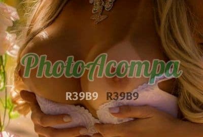 Acompanhante em Curitiba com anal (6) — Aline oral delícia