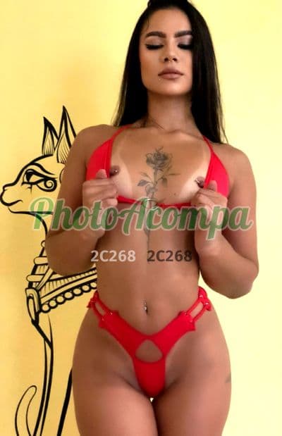 Acompanhante em Itajaí com oral natural (6) — Bella
