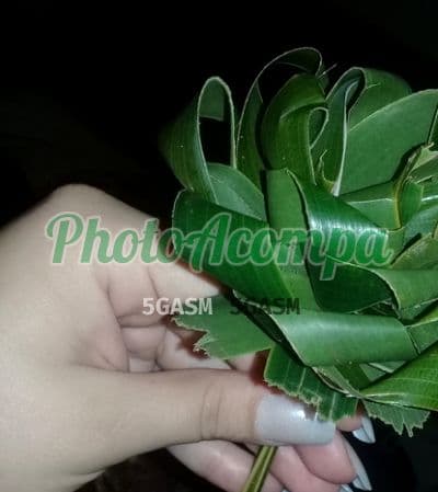 Acompanhante em Blumenau — beijo na boca, foto 2 de Camila