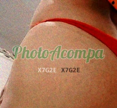 Acompanhante magra em Araras (3) — Carol